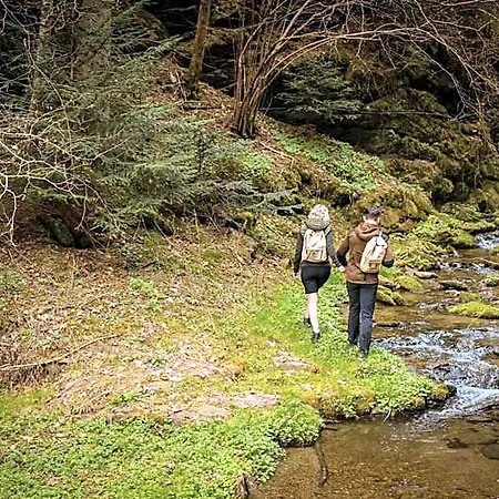Moenichwalderhof 3* Monichwald