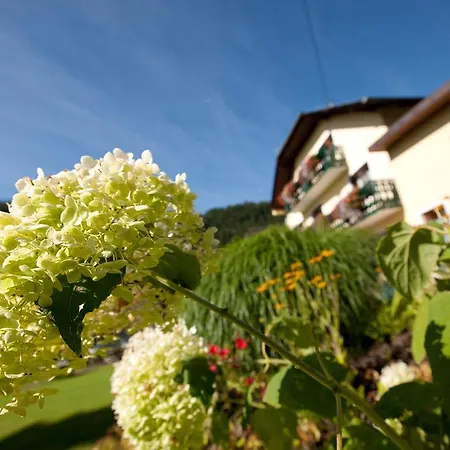 Moenichwalderhof 3* Monichwald