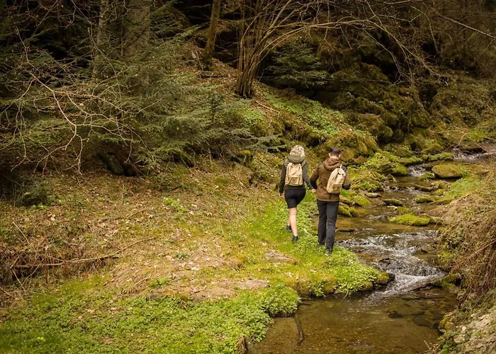 Moenichwalderhof فندق