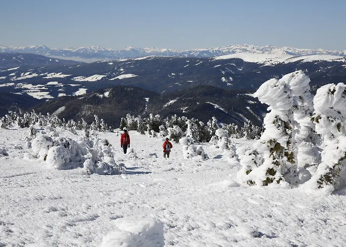 فندق Moenichwalderhof 3*