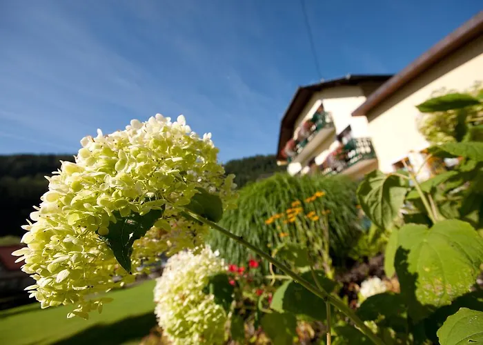 Moenichwalderhof 3* Monichwald