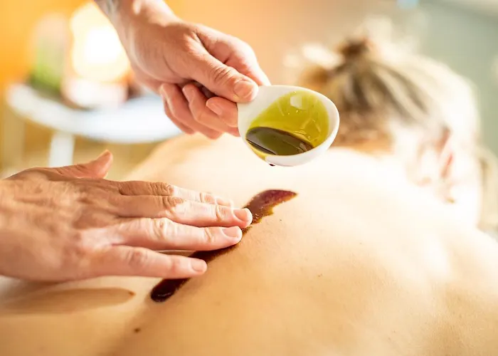 فندق Moenichwalderhof 3*